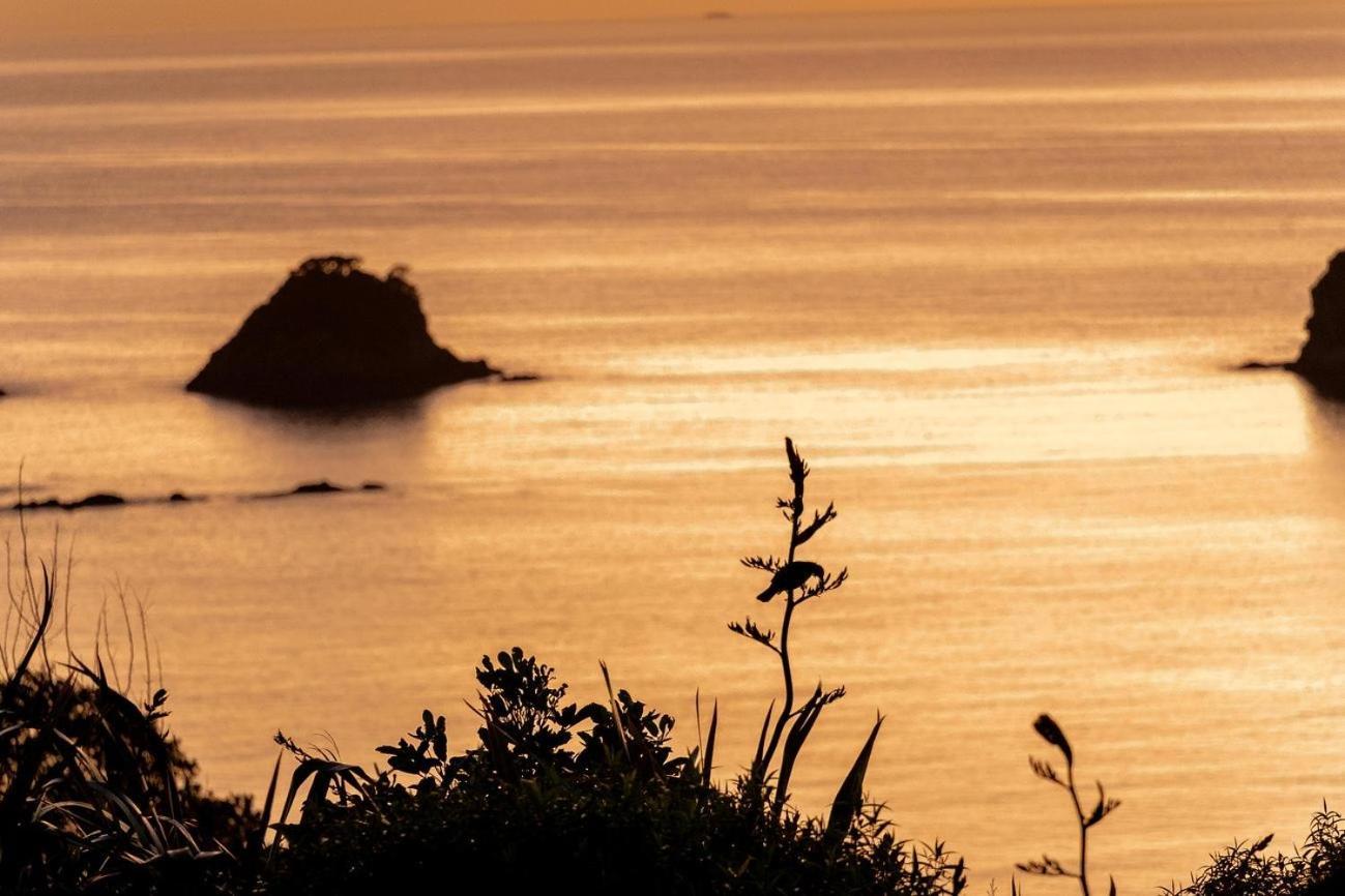 하헤이 Cathedral Cove And Sunrise 아파트 외부 사진